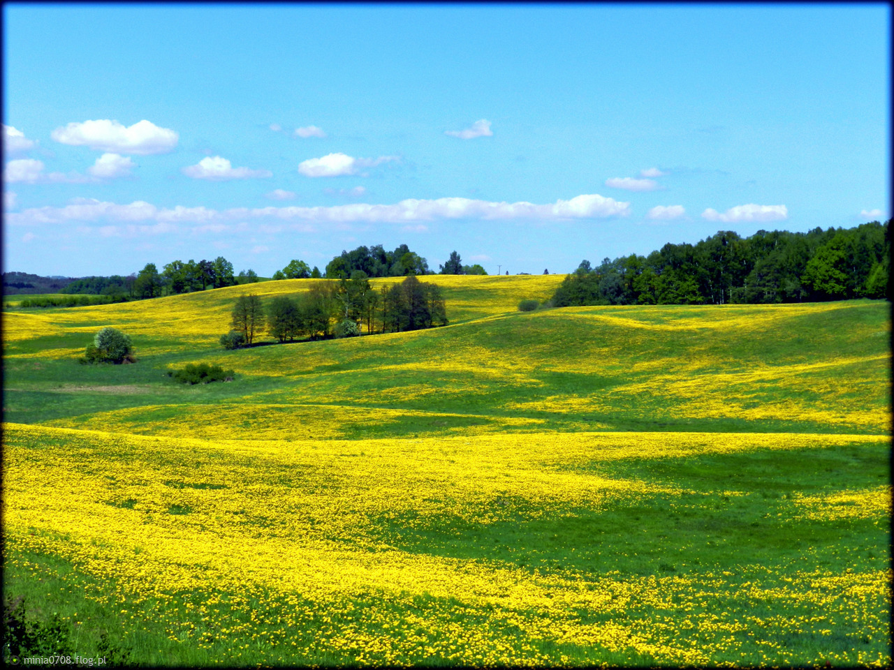 lundagård lundagård